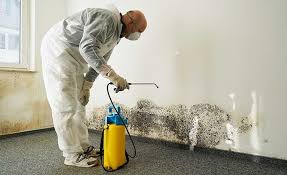 Professional Mold Prevention & Removal  in Baker, MT