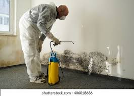 Mold Documentation for Insurance Claims in Baker, MT